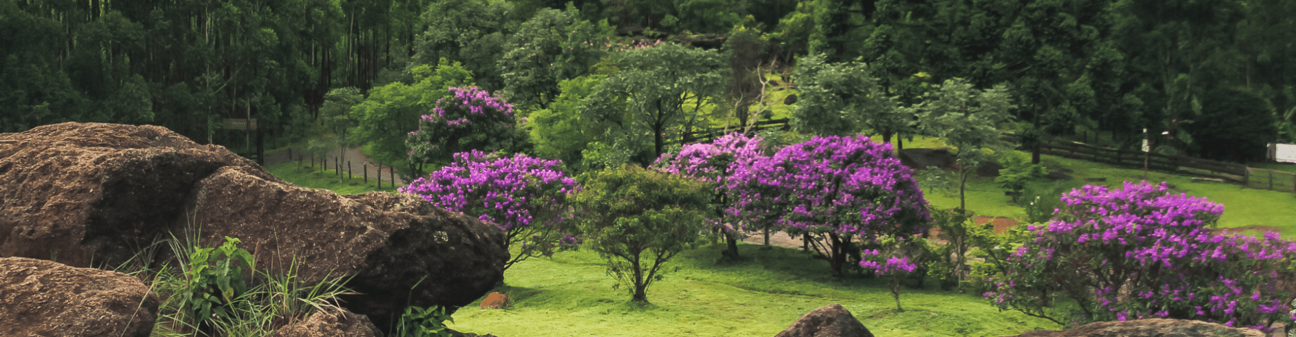 Poos de Caldas com Expoflora